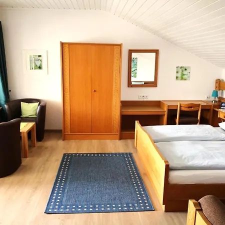 Haus Irene Apartment *