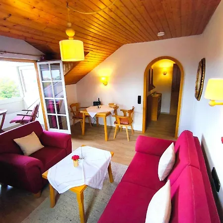 Haus Irene Apartment *