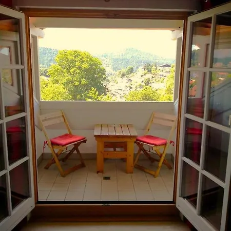 Haus Irene Apartment Bodenmais